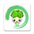 白菜影音平板端免费安装 v1.1