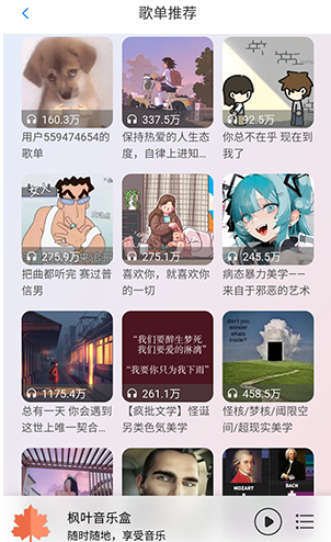 枫叶音乐下载安最新版