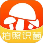 菌窝子野生菌识别软件2026优化升级版 v4.6.2安卓版