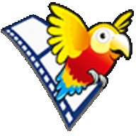 能飞英语app破解版v3.0.3