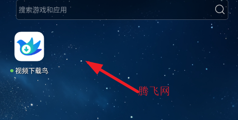 视频下载鸟(原云雀)