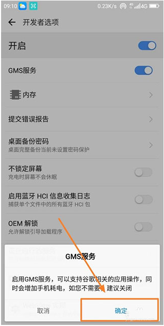 谷歌play服务框架2025最新版本(Google Play 服务) 谷歌play服务框架2025最新版本(Google Play 服务)