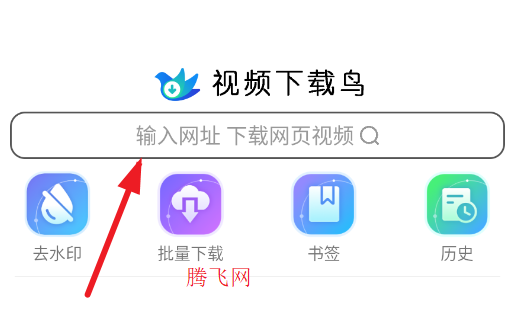视频下载鸟(原云雀)