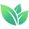 植物视界