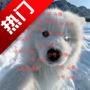 小号连点app手机版