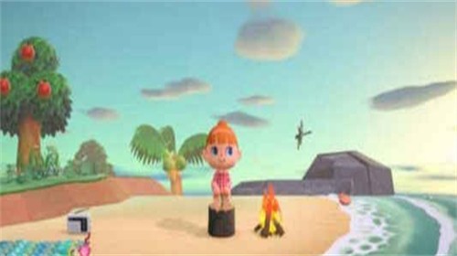 pocketcamp