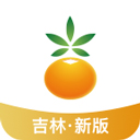 吉林农信app官方2026新版本
