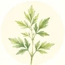 野草日记app官方版