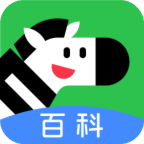 斑马百科软件下载安装手机版v2.25.0 最新版
