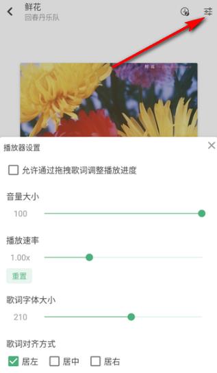 新洛雪音乐 新洛雪音乐