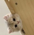 陌陌工具箱软件手机版