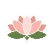 Lotus音乐app最新版