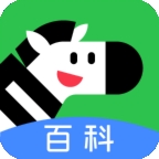 斑马百科最新2026版