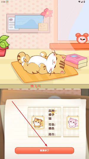 桌面喵最新版