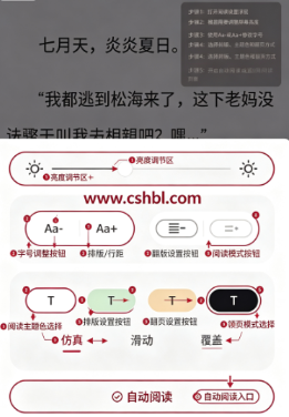 奇猫小说最新版