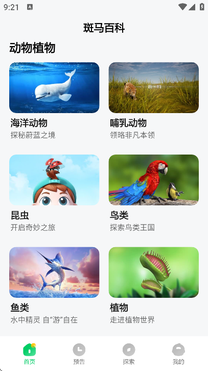 斑马百科软件下载安装手机版 斑马百科软件下载安装手机版