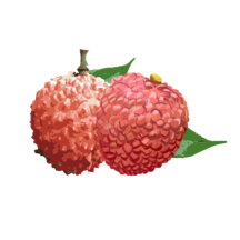增城泊车app下载官方版v1.7.5 安卓版