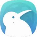 Kiwi Browser官方最新版
