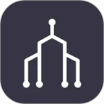 词根单词app v3.0.6安卓版