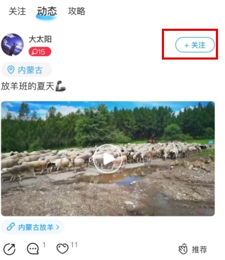 墨鱼旅行app