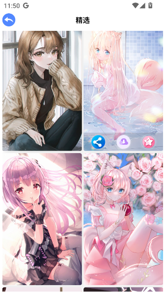 波奇壁纸手机 波奇壁纸手机