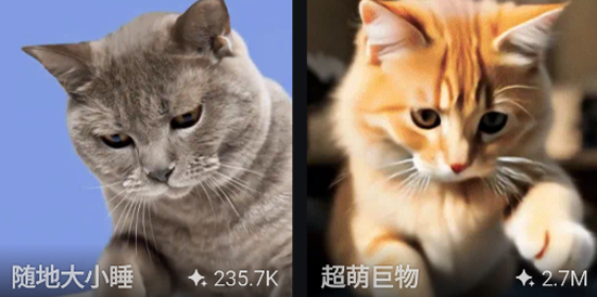拍我AIapp官方正版 拍我AIapp官方正版
