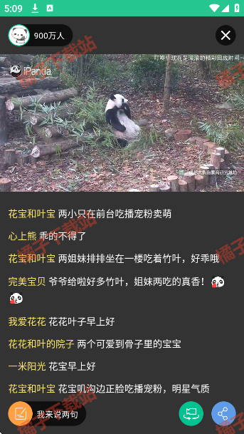 熊猫频道下载官方版 熊猫频道下载官方版
