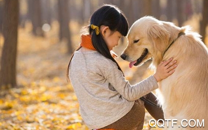 涉犬执法app安卓版 涉犬执法app安卓版