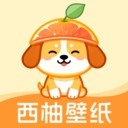 西柚壁纸APP手机版
